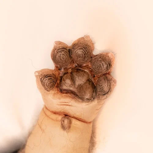 WerePups Toby Baby Werewolf Prop Replica